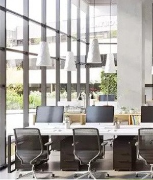 安徽某某园艺有限公司